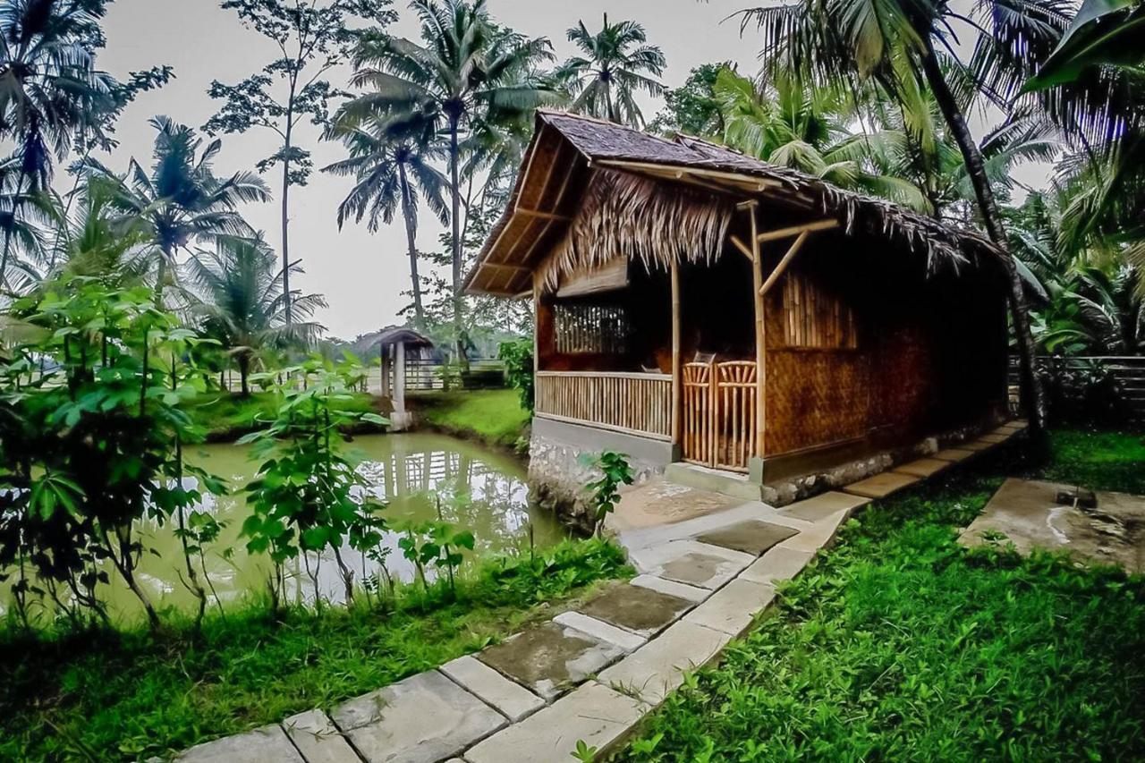 Hotel Baleku Bamboo Retreat Pangandaran Zewnętrze zdjęcie